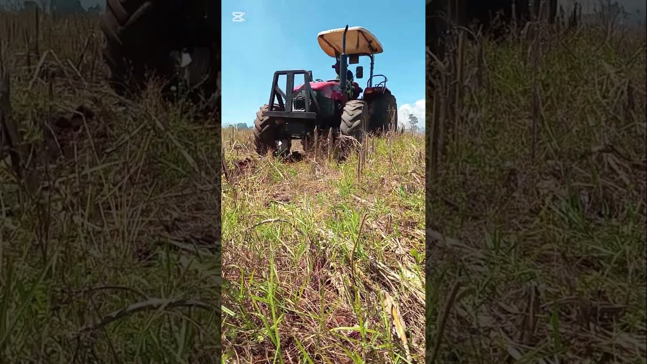 Part 3 jx ploughing  75 love for farming 