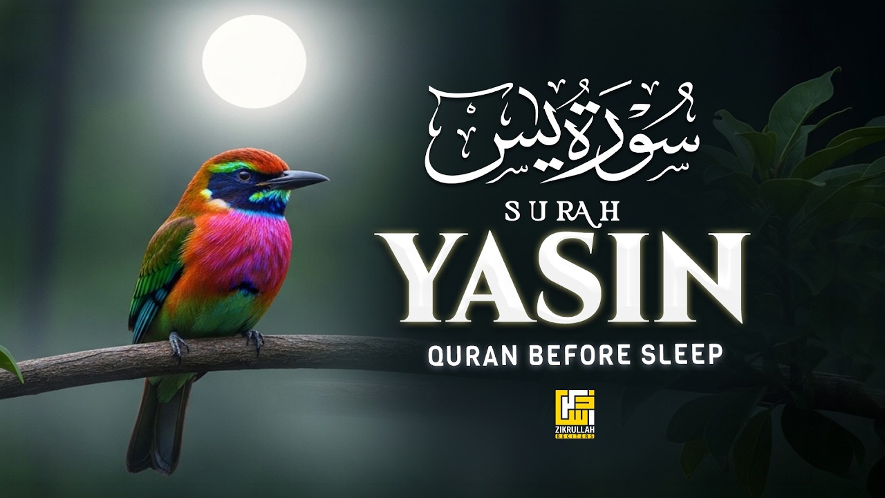 Surah Yasin (سورة يس) | Beautiful Lofi Quran Recitation for Sleep | Zikrullah Reciters