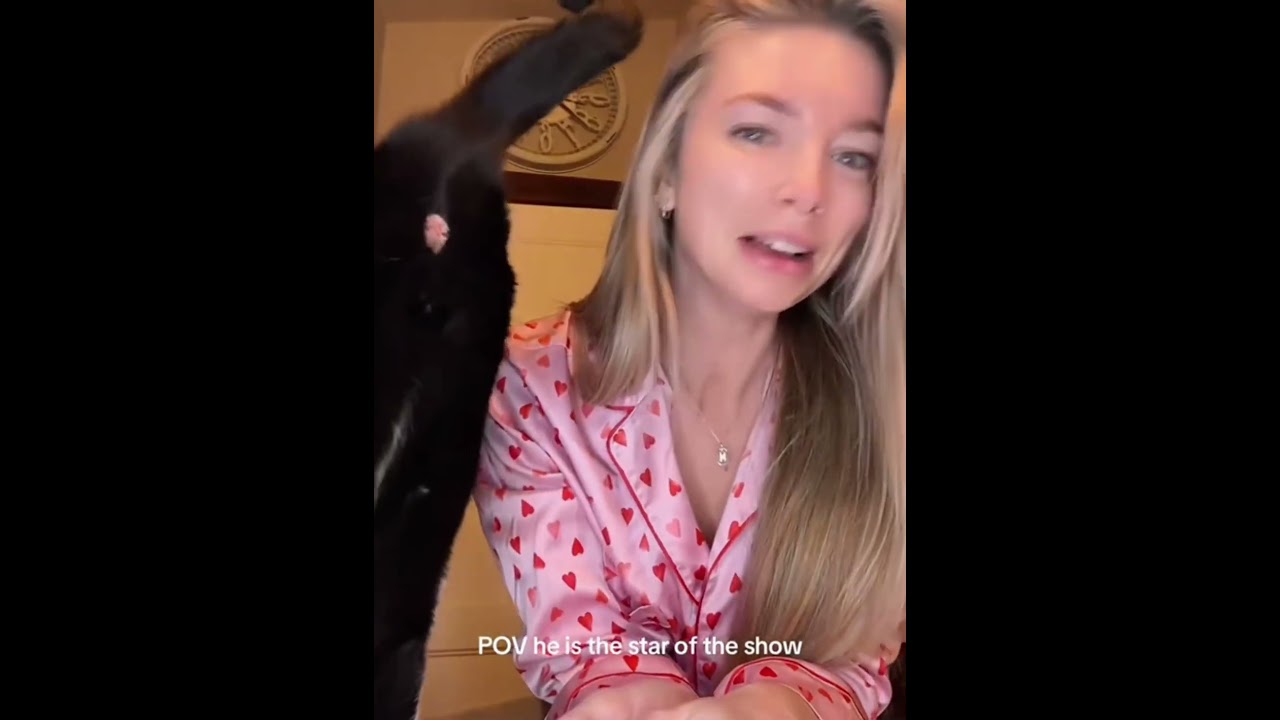 &ldquo;Cat：I'm the star!&rdquo;#fyp #foryou #cat #petlove #catlover #funny #funnyvideos #fypage #funnycat #cats
