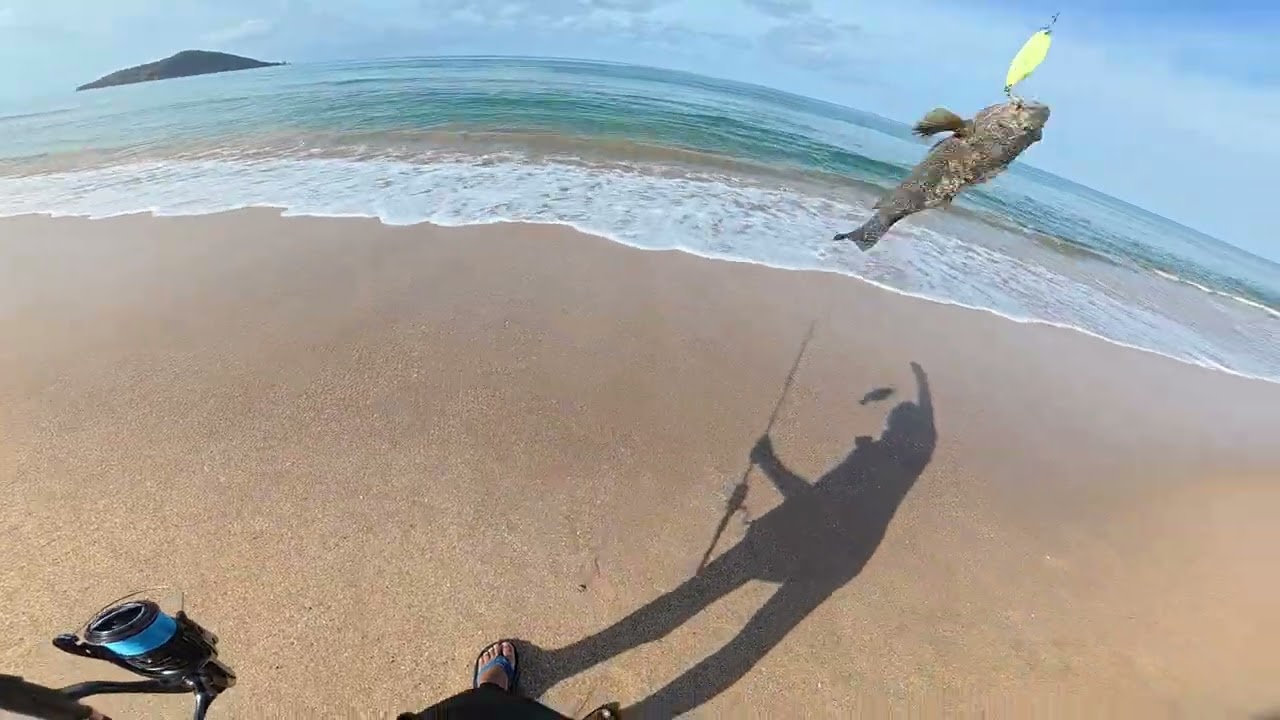 ¿Mero Chino o Pargo Tigre? | Pescando de Playa