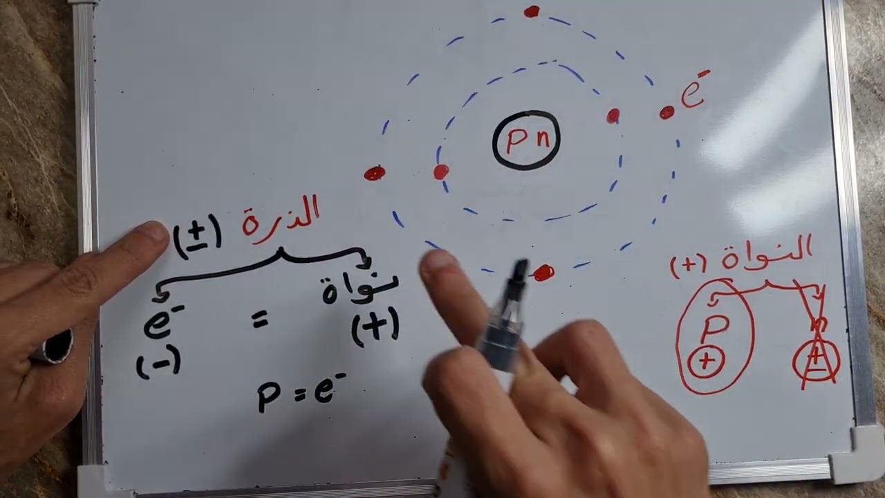تأسيس علوم أولى إعدادى الترم الثانى 2026