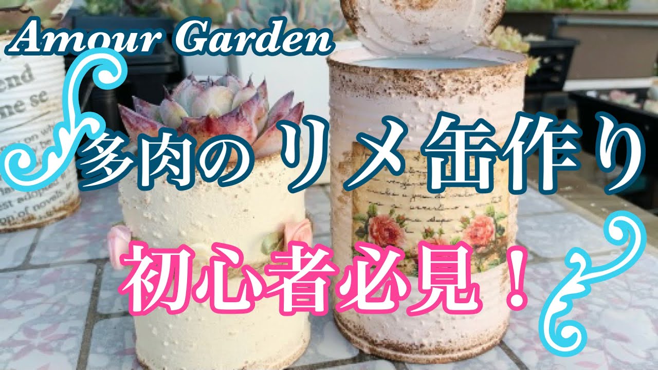 【多肉植物】多肉のリメ缶作り！初心者必見！Amour Garden.Succulent