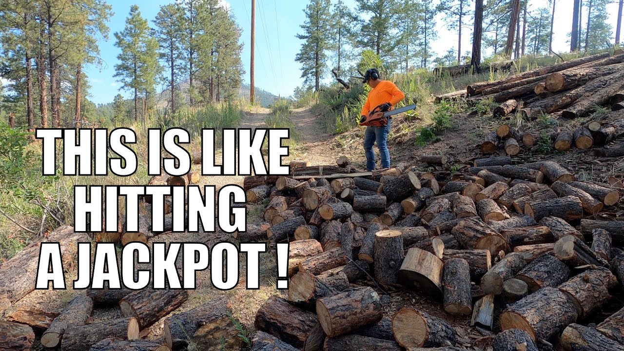 I FOUND THE RIGHT SPOT FOR FIREWOOD LOGGING !! Ponderosa Pine FIREWOOD Trip In NEW MEXICO!