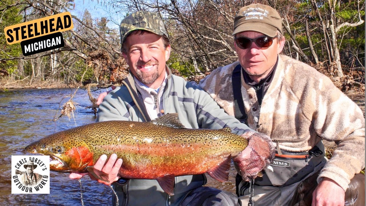 Huge Steelhead on the Pere Marquette