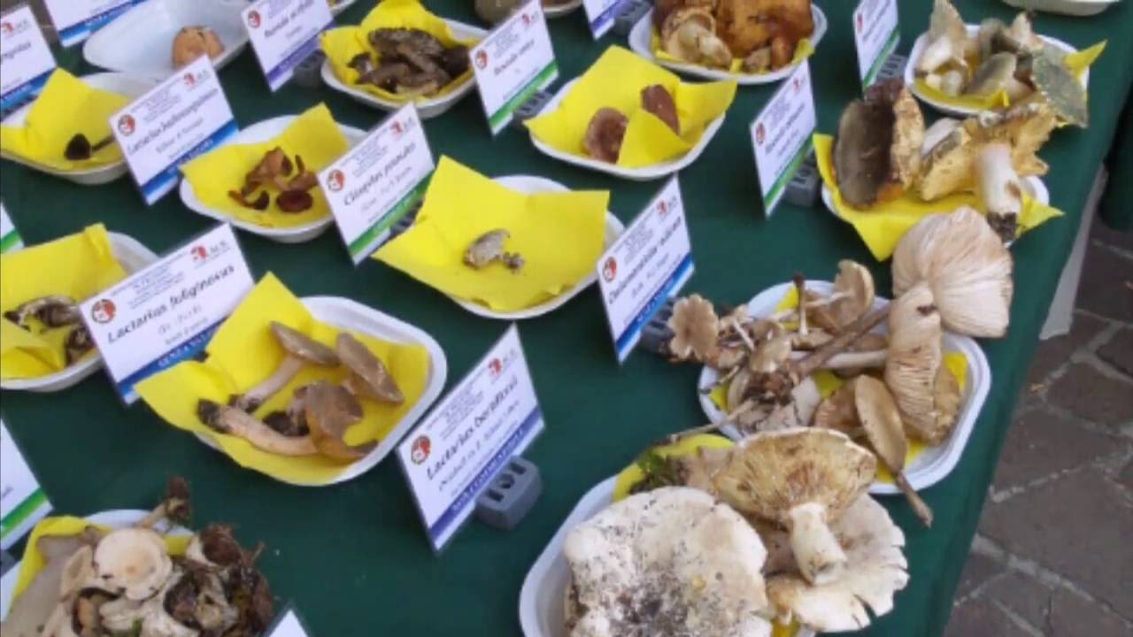 Alla Rocca di Minozzo...