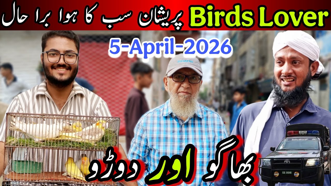 LALUKHET BIRDS MARKET 2026 LATEST BIRDS RATES  KARACHI | LALUKHET JAAL RATE UPDATE | @AhmedKSath