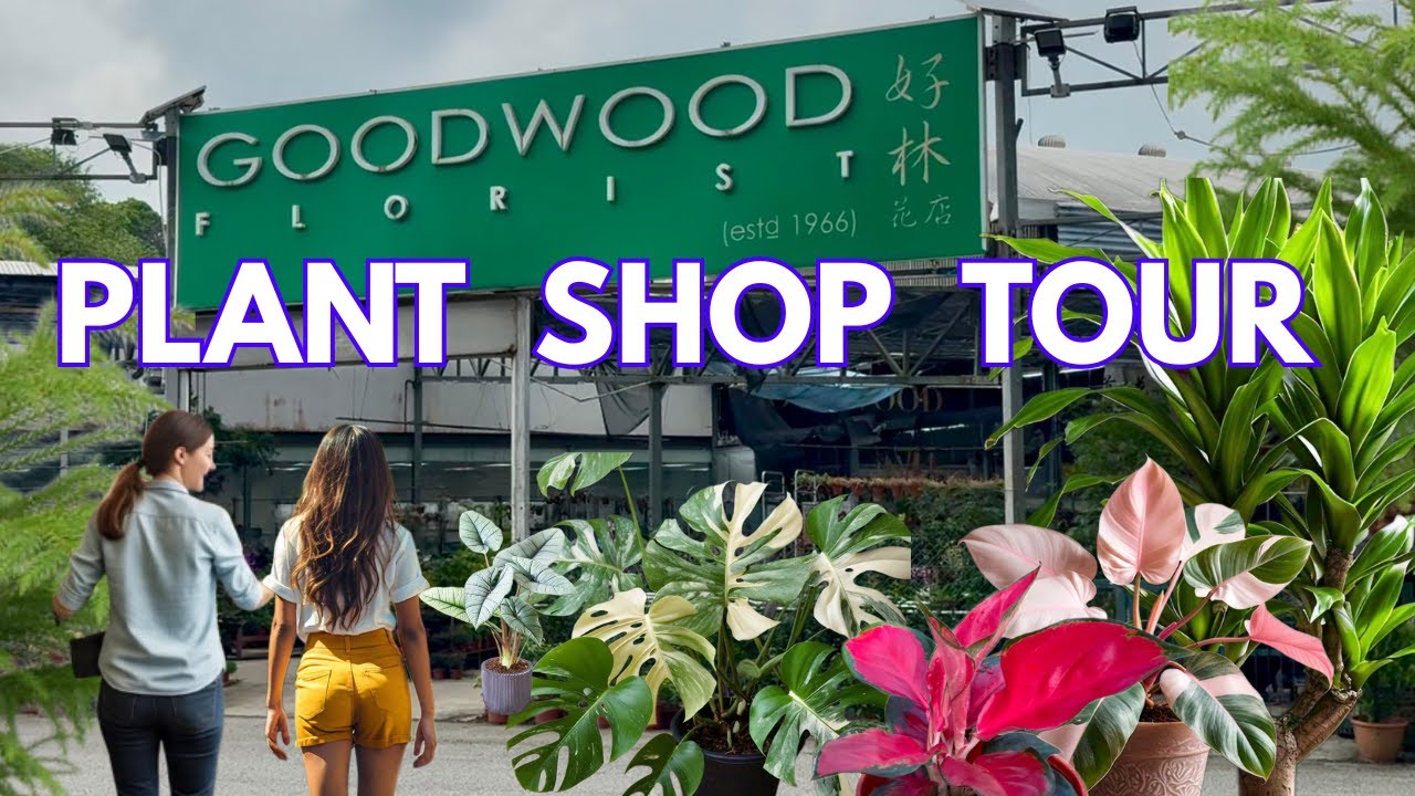 Plant Shop Tour Singapore | Visit To A Popular Plant Shop | Plant Shop Tour 2025