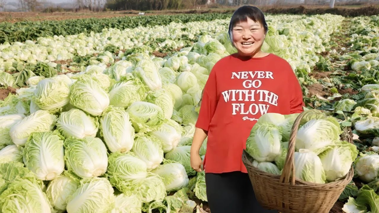 【陕北霞姐】家人地里干活累了，霞姐一锅炖2只蒜香鸭子，好吃到连汤都不剩！