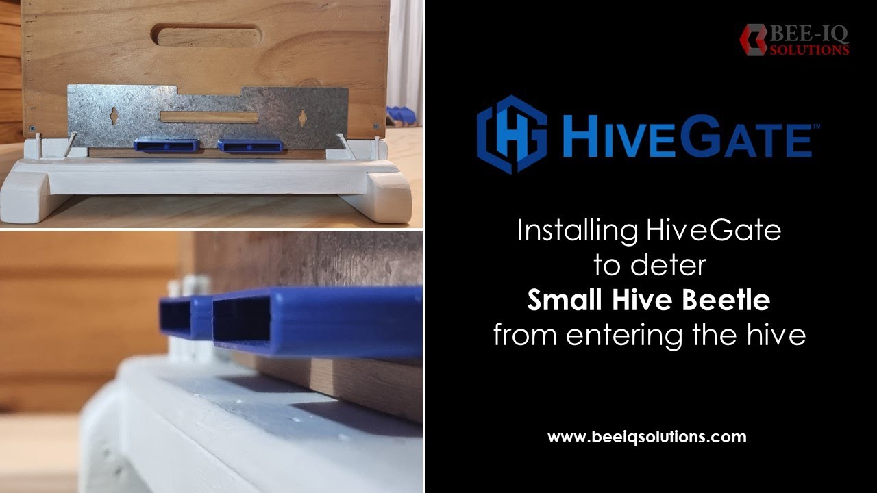 Installing HiveGate to deter Small Hive Beetle