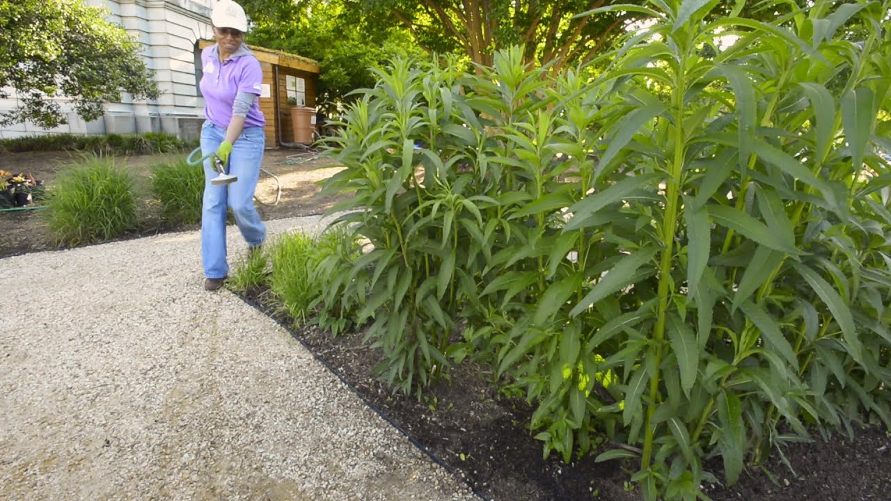 People’s Garden:  “Why Use Rain Barrels? - Helpful Tips”