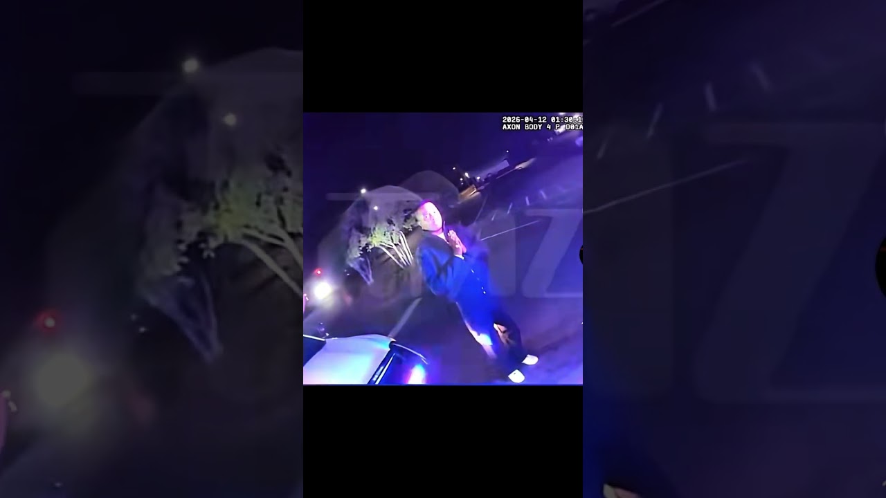 King Harris And TI Arrest #news #celebrity #crime #police #tiktok #tiktokviral #instagram #usa