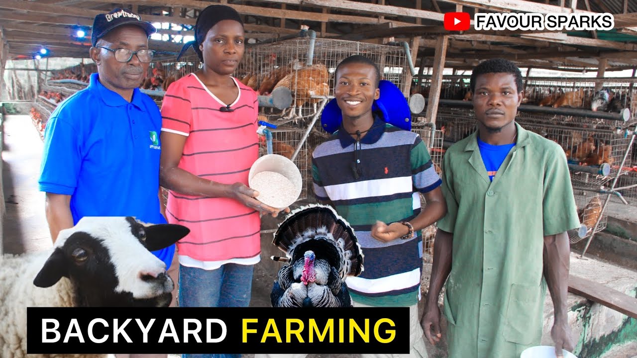 They turned their BACKYARD into a Million Dollar Farm in Nigeria!