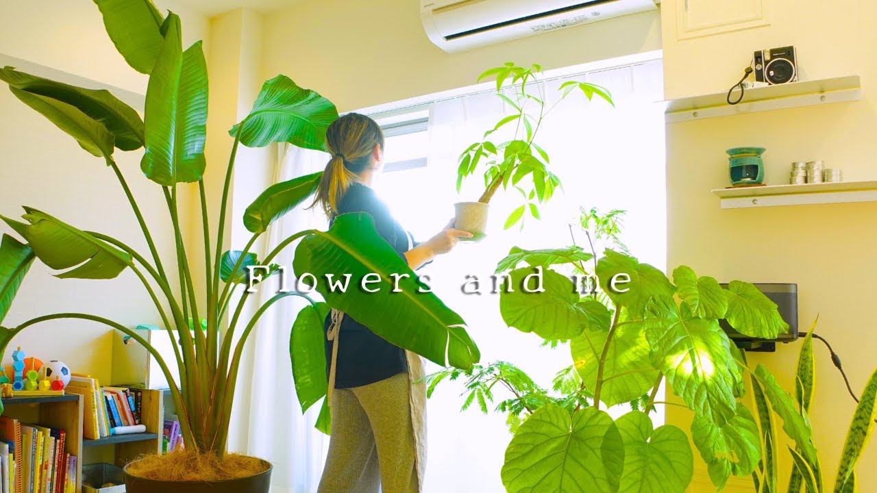 🪴Plant  tour2023🪴Уход за целебными растениями 🚿