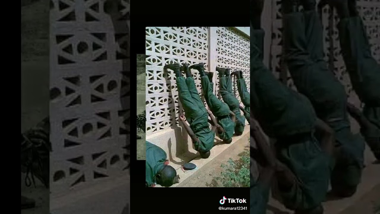 Sf tik tok