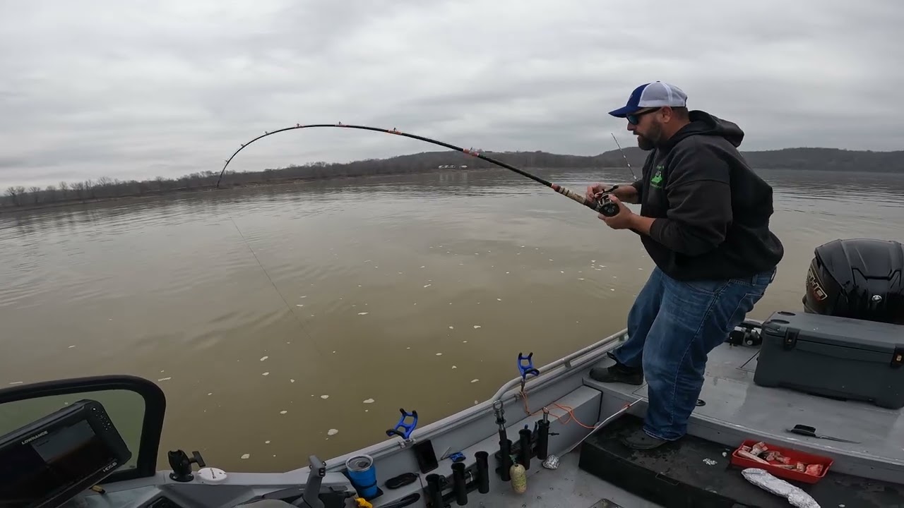 Cold Water Lethargic Catfish!