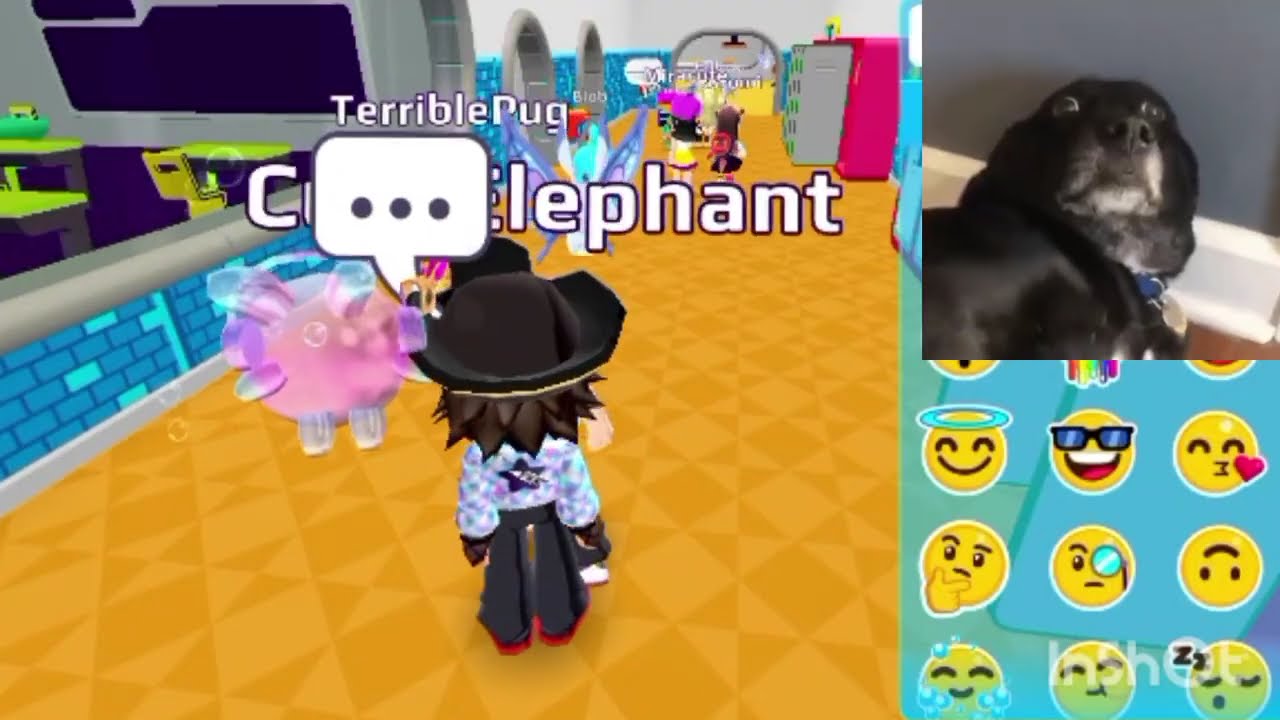 Spying Oders no 2 #uglyoders #pkxd #pkxd #sodapop | SJx19 