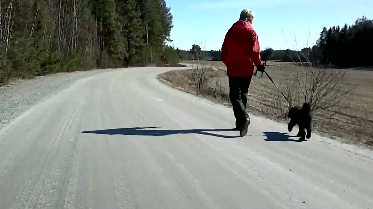 Turku 2012 Bike tour