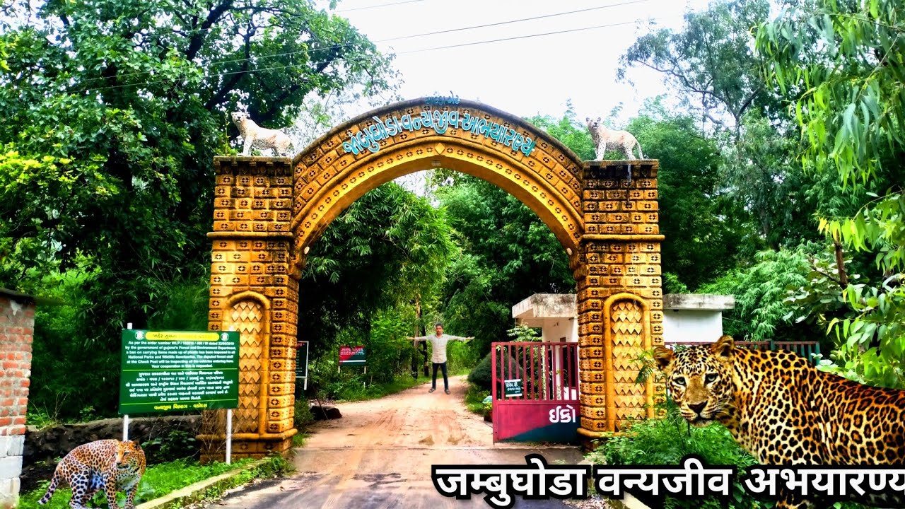 Jambughoda Wildlife Sanctuary | Dhanpuri Eco Tourism Park | Kada Dam | वन्यजीव अभयारण्य | Gujarat