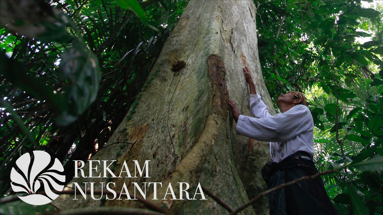 #WanaParahita Eps 03: Menjaga Hutan Penyelamat Desa