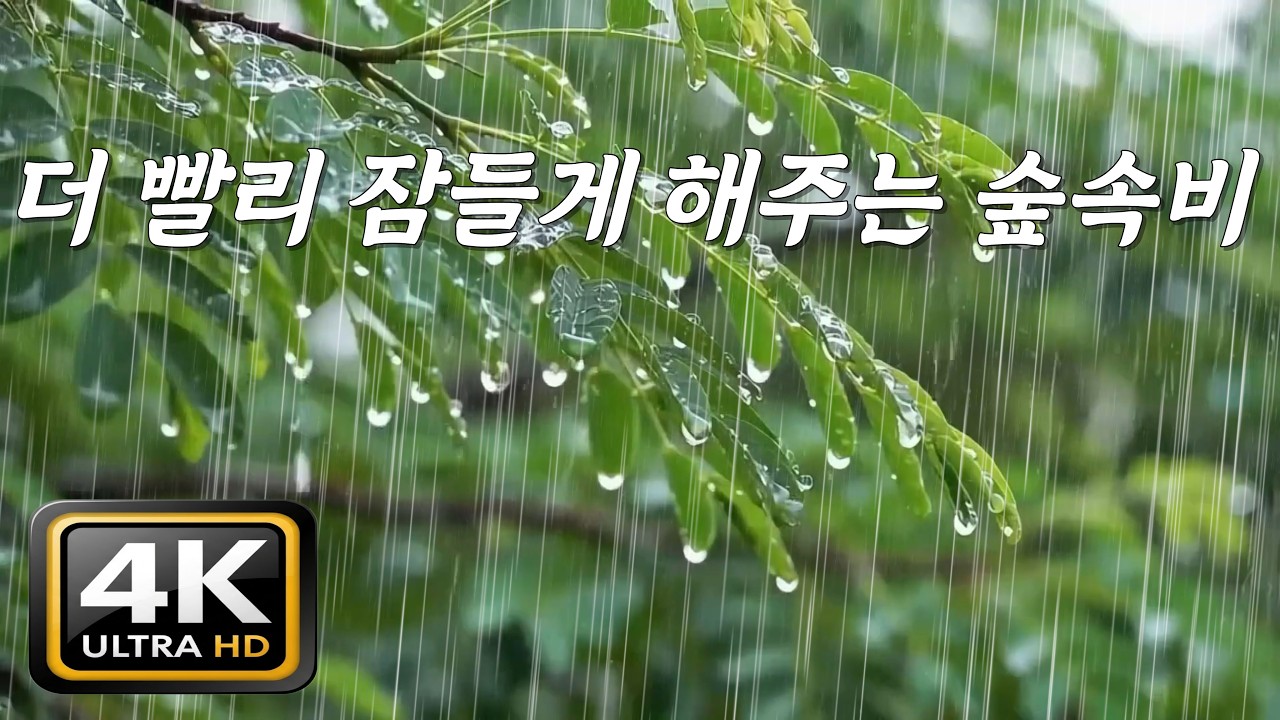 더 빨리 잠 들게 해주는 숲속 빗소리, [중간광고없음]10분후 검은화면, 억지로 잠들지 않아도 되는 숲속 빗소리 자장가, 가장 빠른 숙면 유도, 깊은 숲의 천연 백색소음 ASMR