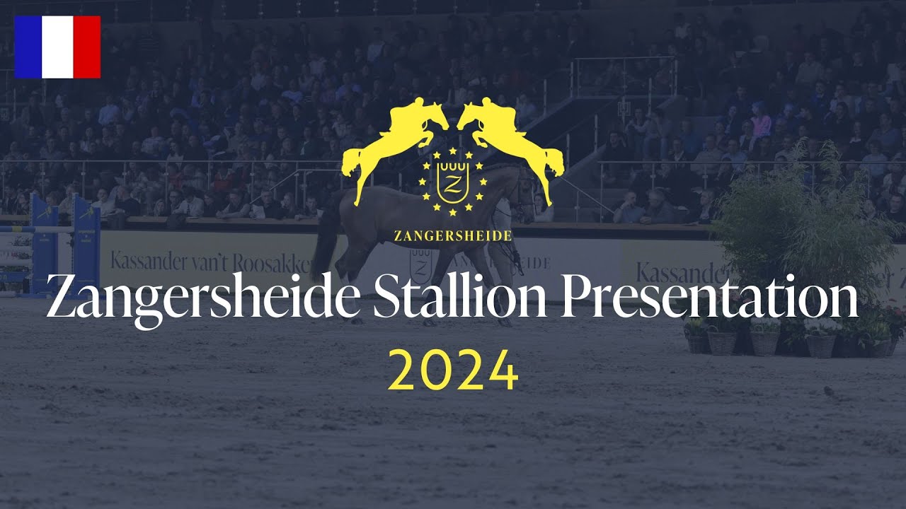 🇫🇷 Haras Zangersheide Présentation des étalons 2024