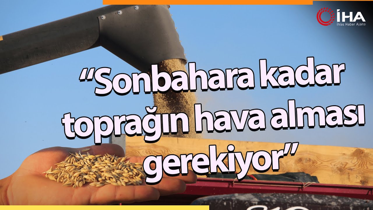 Konya Ovası'ndaki Buğday Hasadında 2 Milyon 400 Bin Rekolte