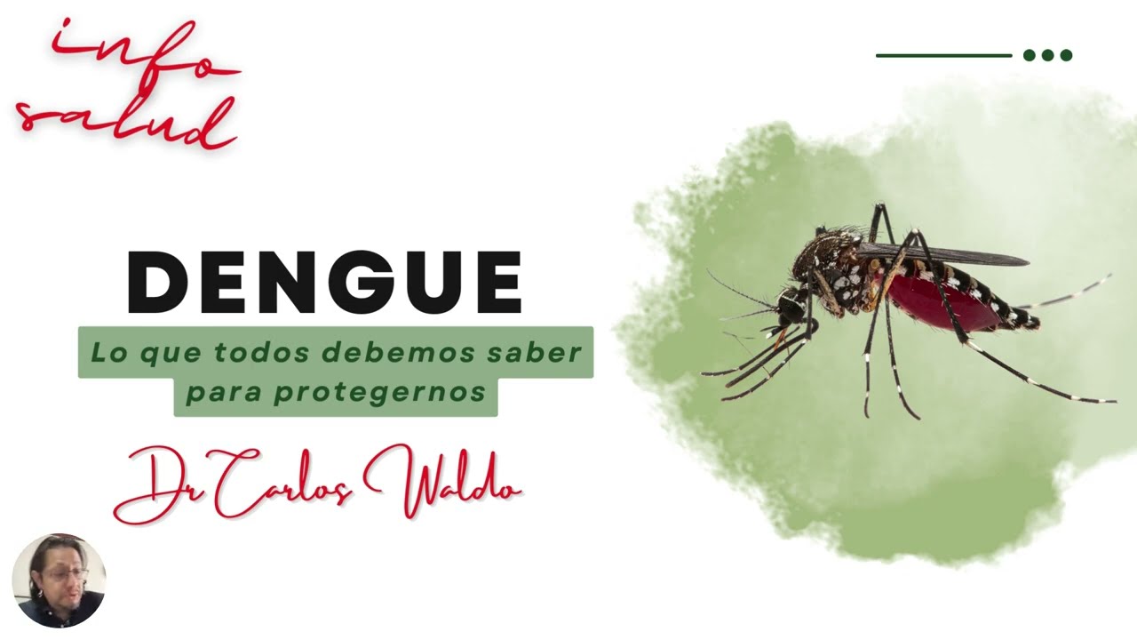 DENGUE  Lo que debemos saber para protegernos