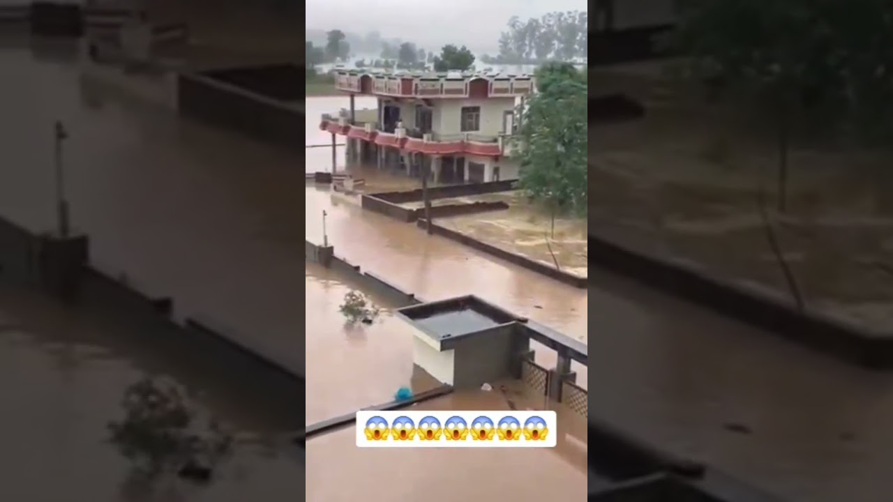 Heavy Rain 🌧 in Punjab#2025 #newshorts #punjab #floods