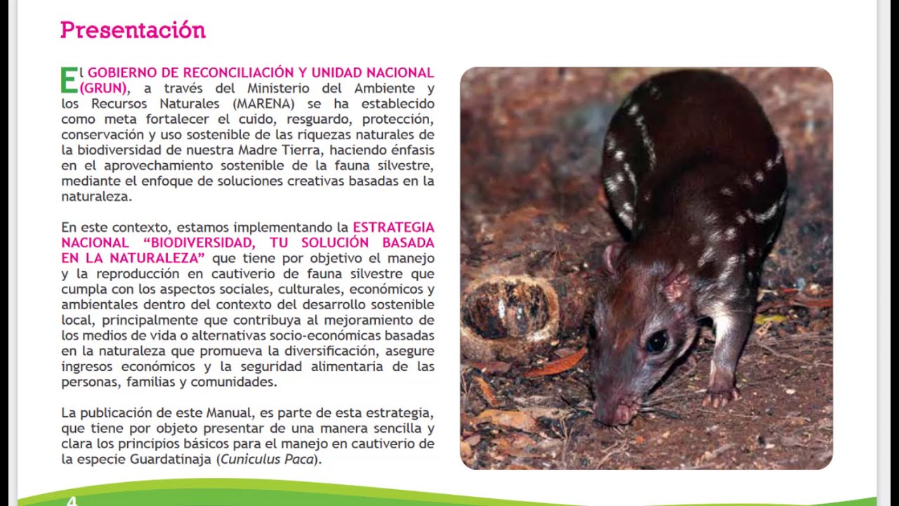 Guia de GUARDATINAJA, CRIANZA Y REPRODUCSION Y ALIMENTACION