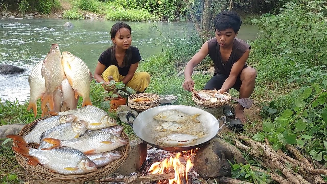Life in the jungle, Catch fish in the river, Cooking fish with Chili sauce & eating delicious