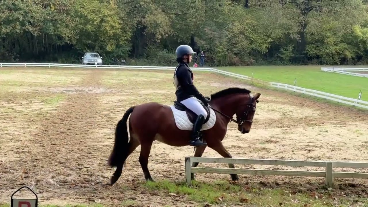 Thaïs et Isidor CCE dressage P2 Vernoil 26 octobre 2025