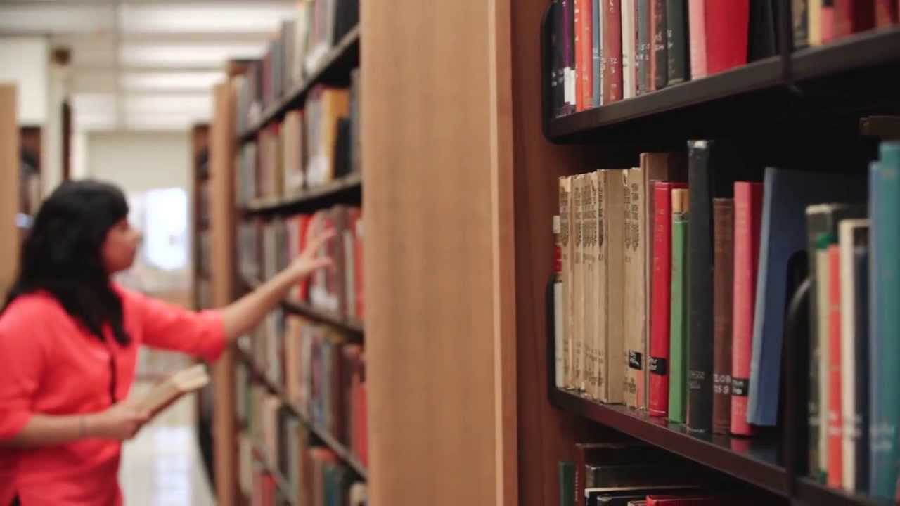 The University of St. Francis: A Warm & Wonderful Place
