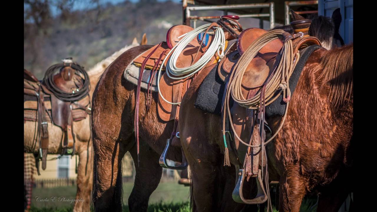 Enjoy Cowboy Photography with Acoutisic Music!