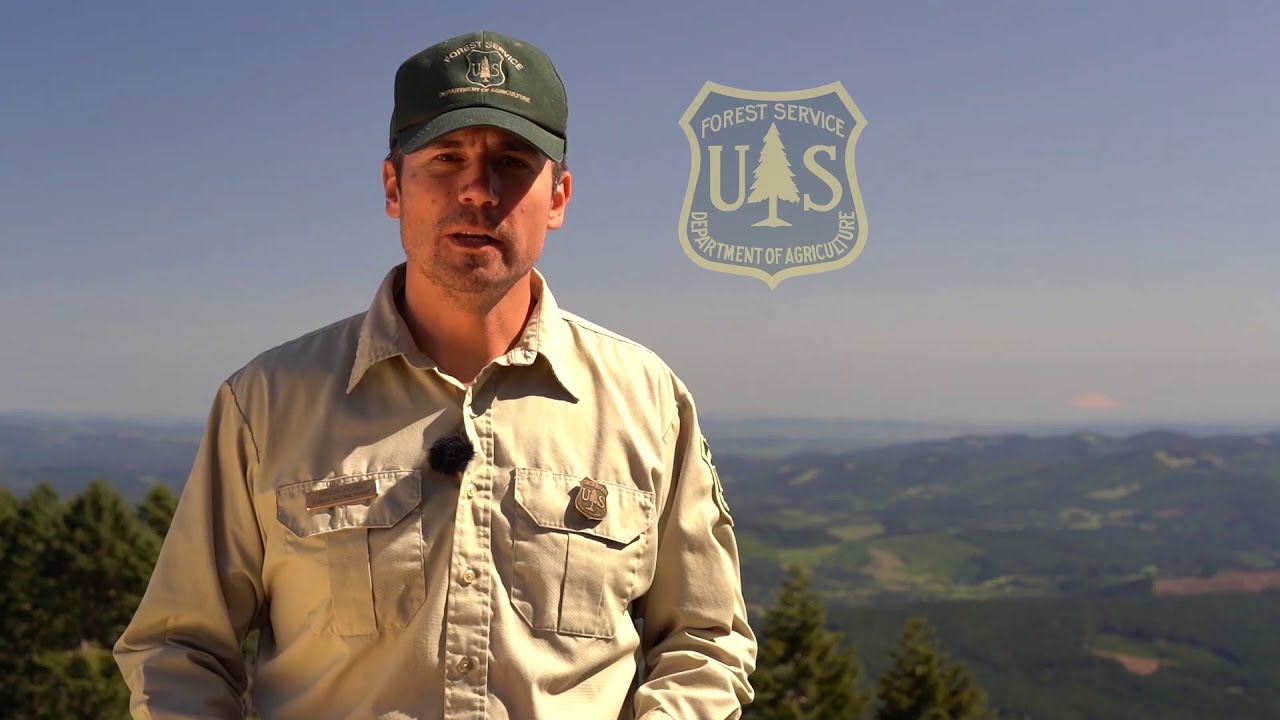 Marys Peak  Overview