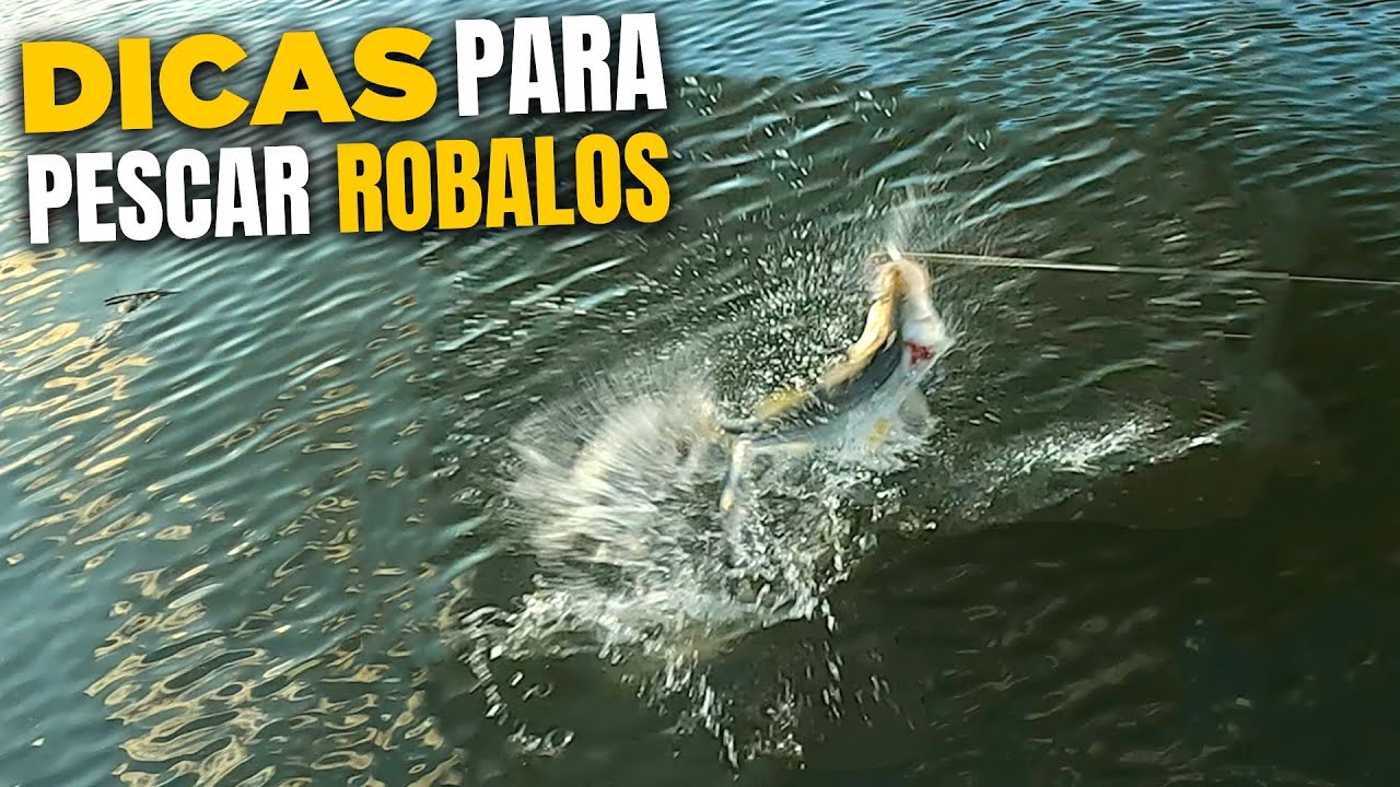 A MELHOR MARÉ PARA PESCA DE ROBALO! Pescaria incrível com Iscas Artificias