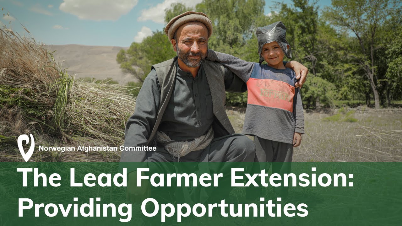 The Lead Farmer: Providing Opportunities
