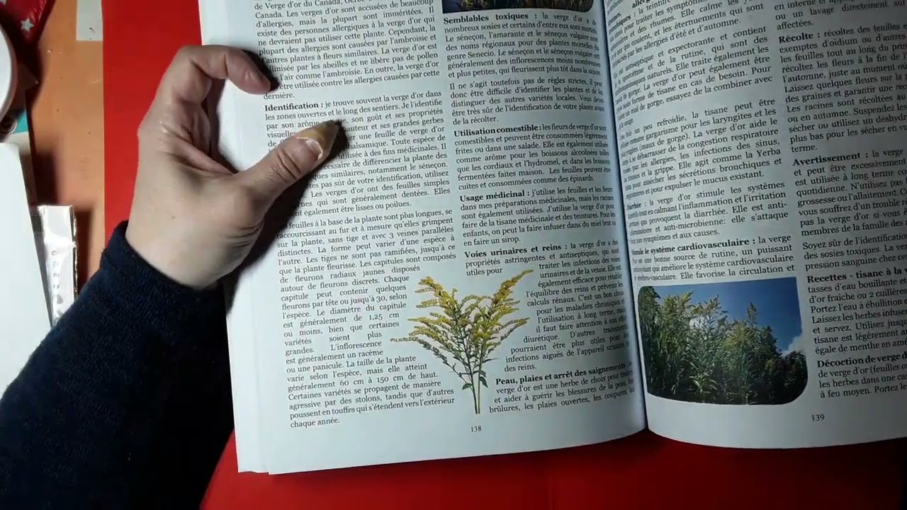 Mon livre de plantes médicinales. 