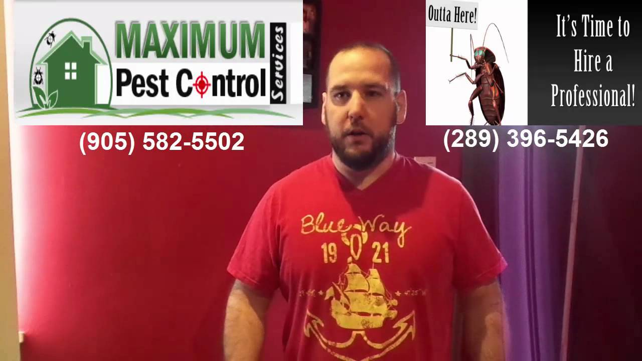 Roach Control Service Hamilton Ontario