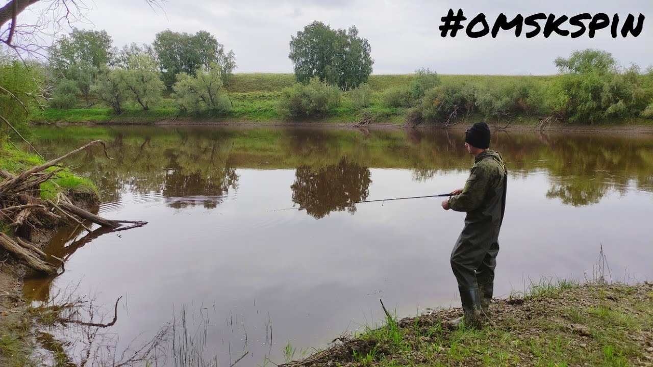 OmskSpin #111 Очень результативная рыбалка на р. Омь в Омской области. #рыбалка #fishing #сибирь
