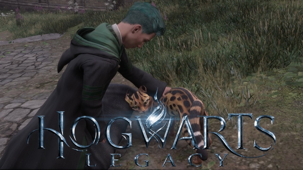 Hogwarts Legacy Longplay - Part 5 - Exploring Everywhere - No Commentary