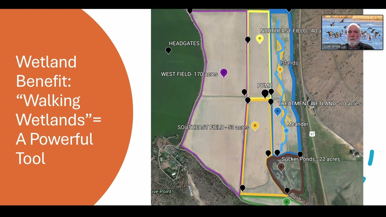 Lakeside Farms Update 2026 Renaissance Tour