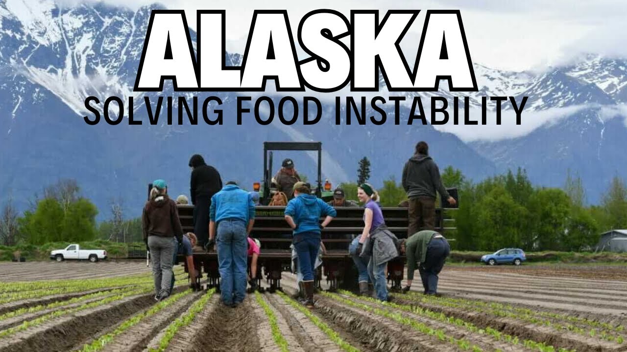 Alaska Food Co: решение продовольственной проблемы стоимостью 3 миллиарда долларов