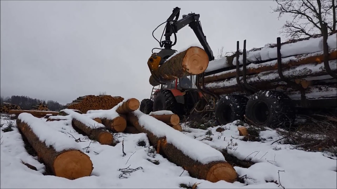 Logging with MTZ+Palms trailer in winter forest