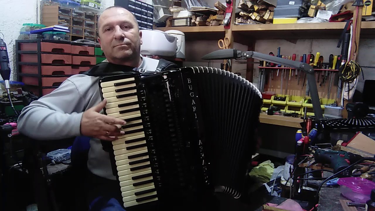 Servis harmonika Dane 064-420-5721