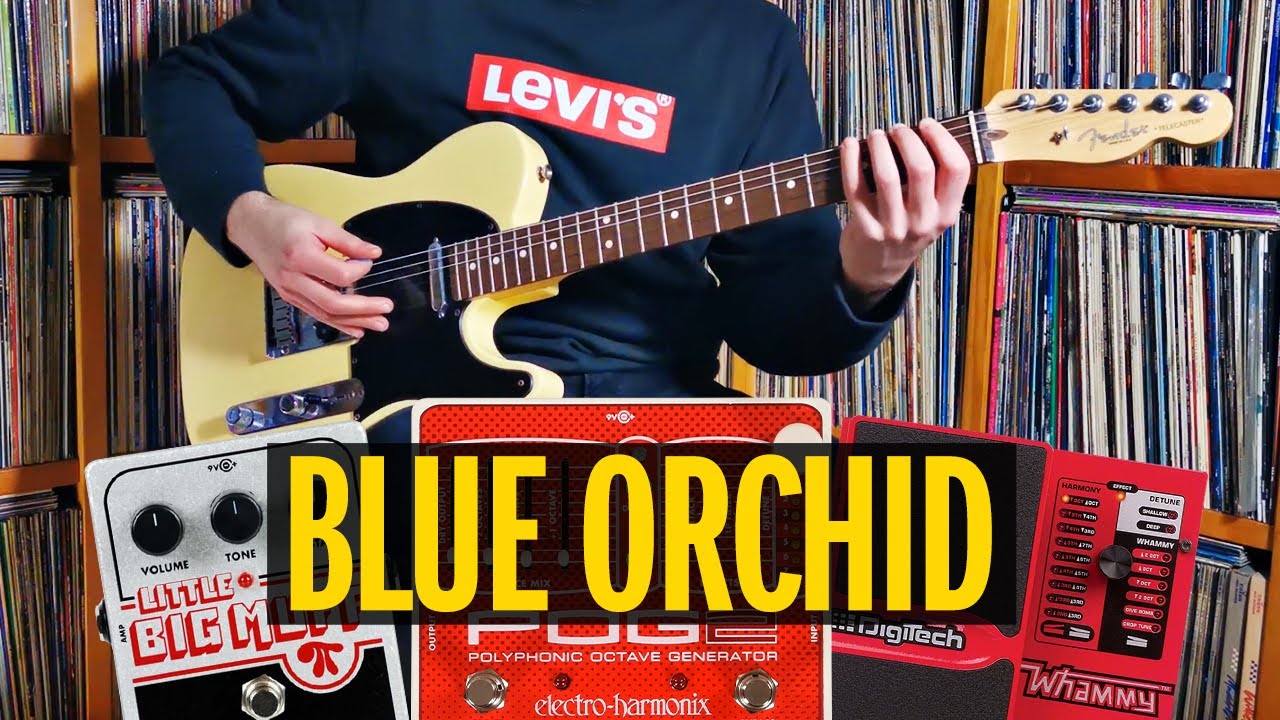 Blue Orchid - The White Stripes  |  Guitar cover w/ effects (HD)