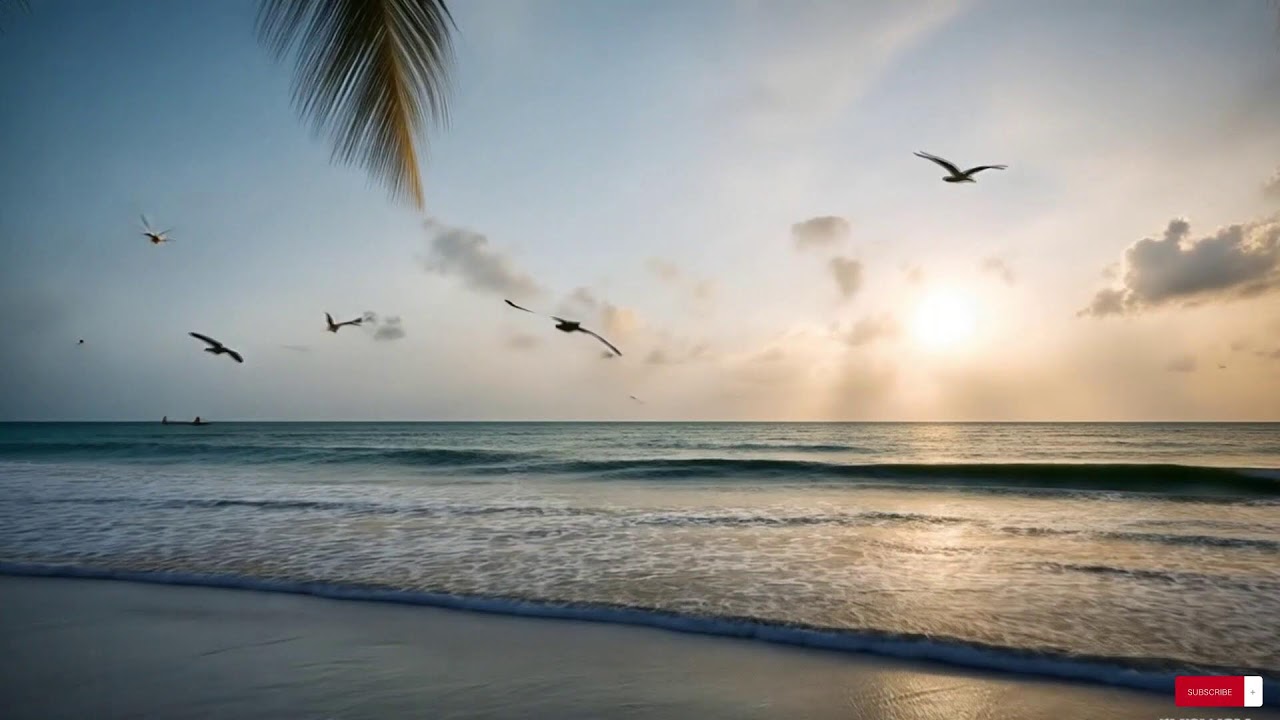 Reggae Music Mix 2025  😍  Best Reggae Love Beach Songs ,Top Reggae Special Relax 204