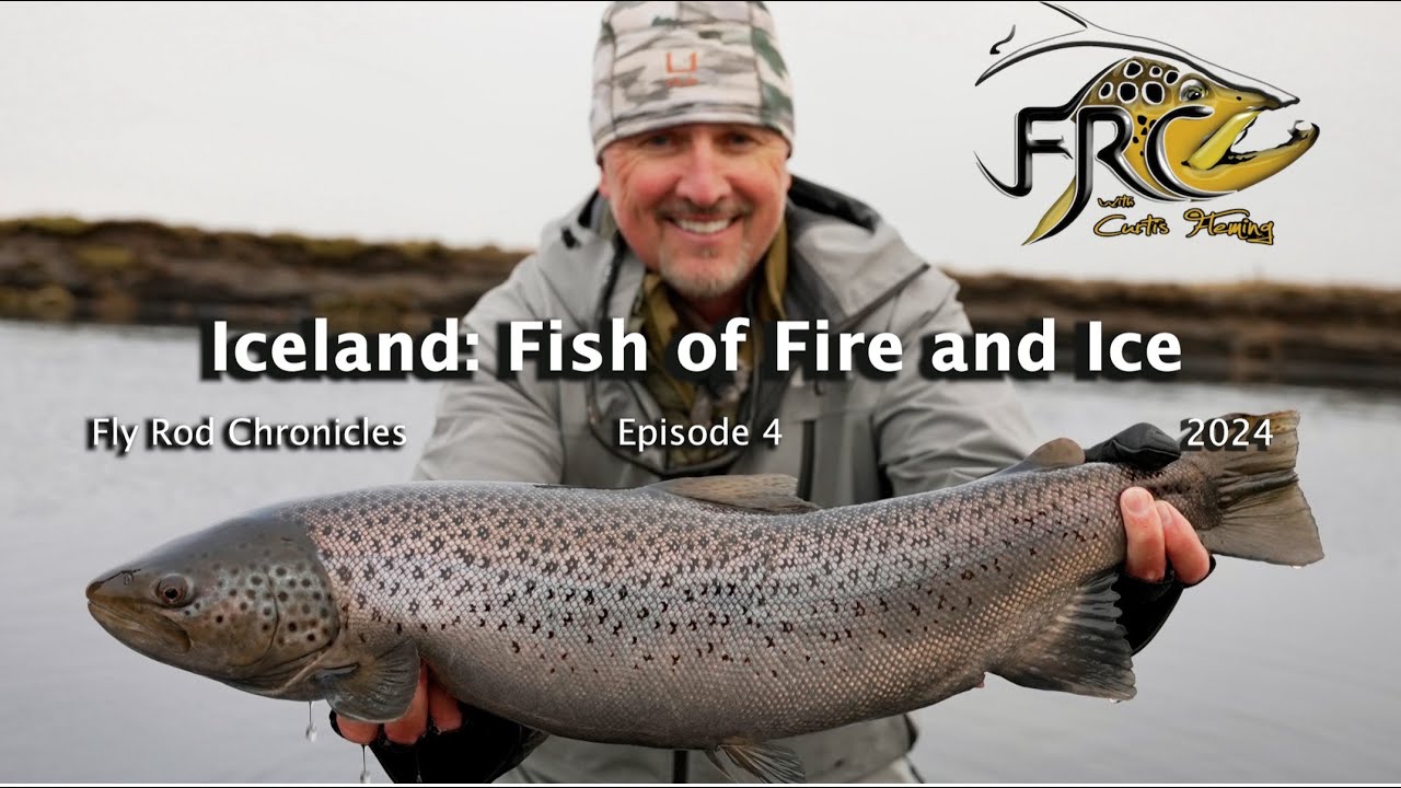 Iceland - Fish of Fire and Ice