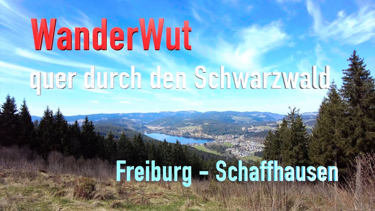 WanderWut quer durch den Schwarzwald | Frühlingstour | 4 Tage/132 km
