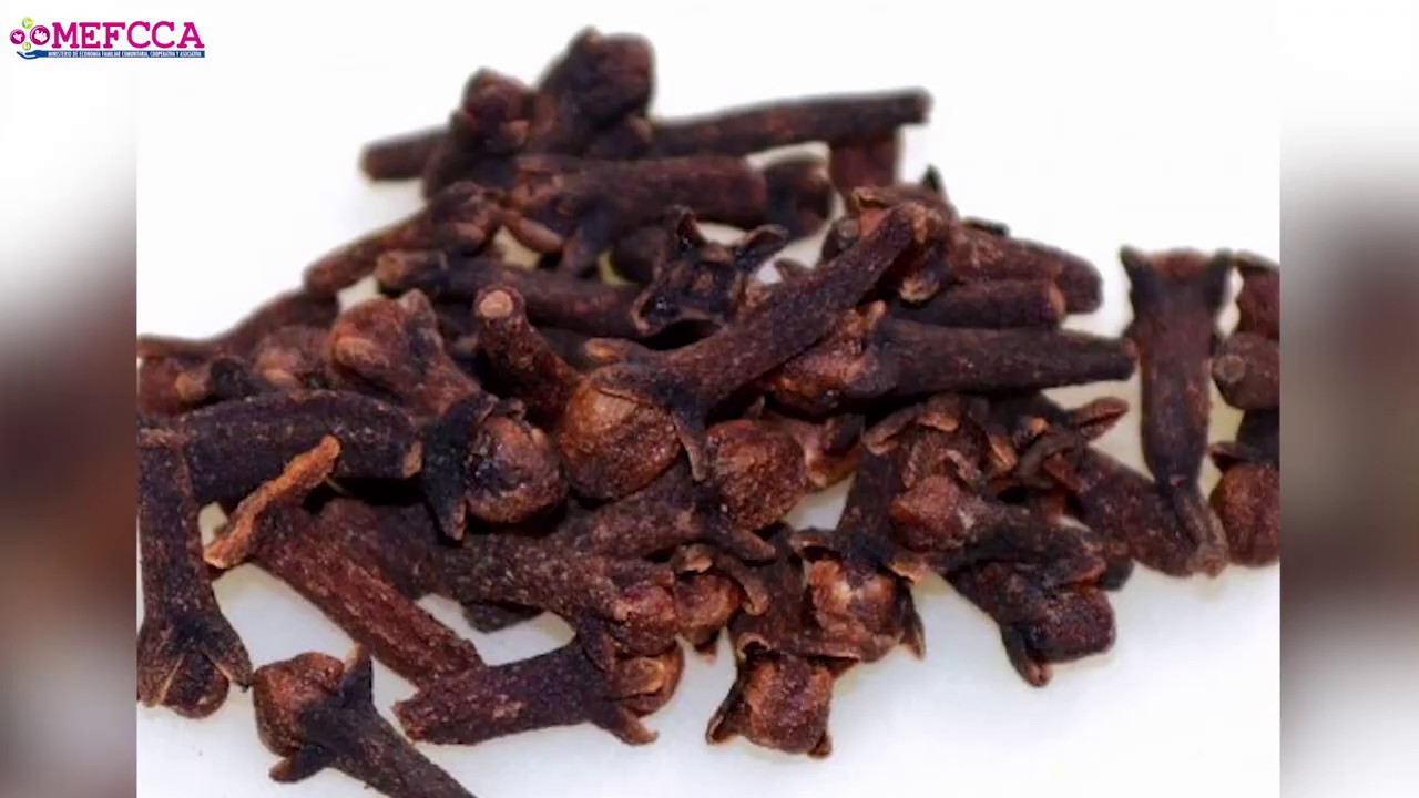 Cultivo, cuido y procesamiento de  plantas aromáticas