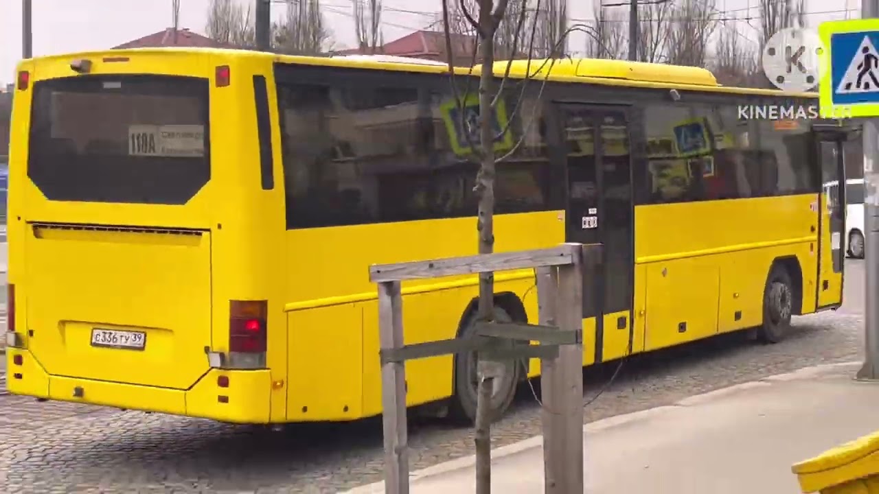 Все Автобусы Калининграда Улица Ленинский Проспект часть 4